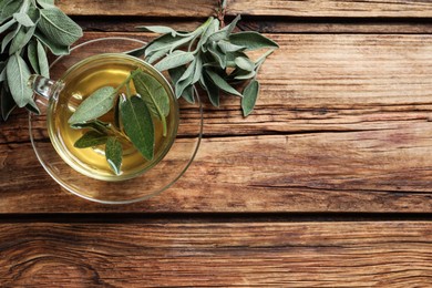 Photo of Cup of aromatic sage tea and fresh leaves on wooden table, flat lay. Space for text