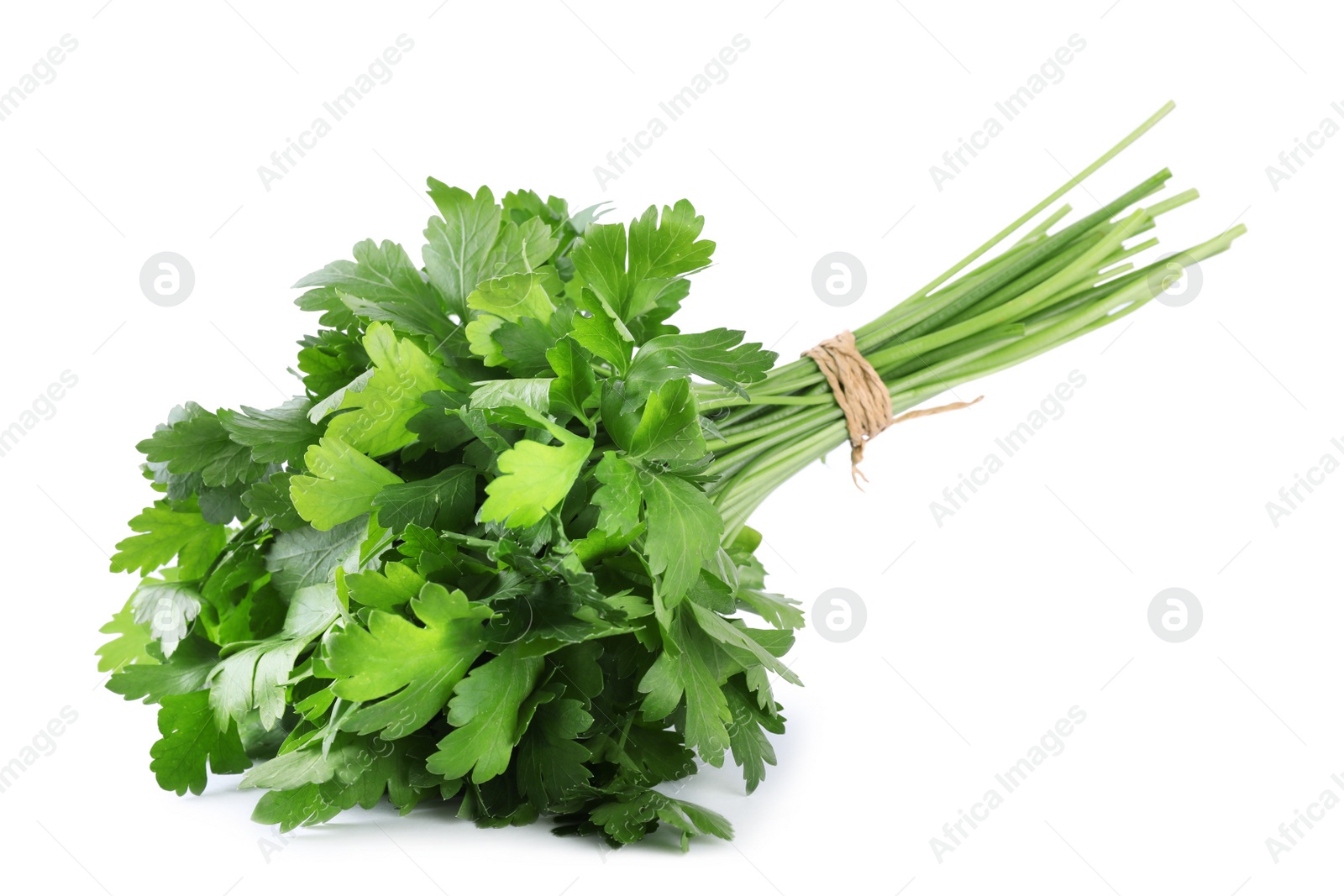 Photo of Bunch of fresh green parsley isolated on white