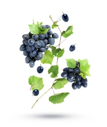 Image of Fresh ripe grapes with green leaves falling on white background