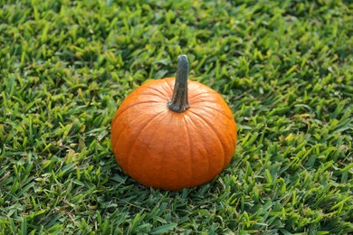 Photo of One orange pumpkin on green grass outdoors