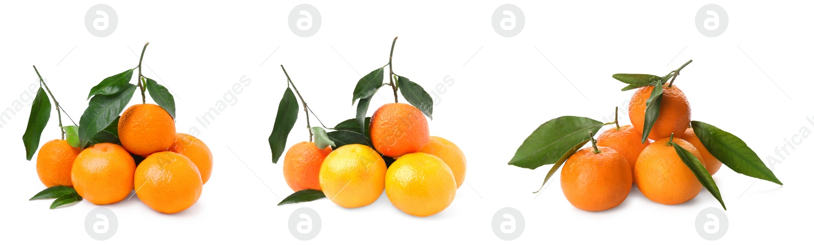 Image of Set with fresh ripe tangerines on white background. Banner design