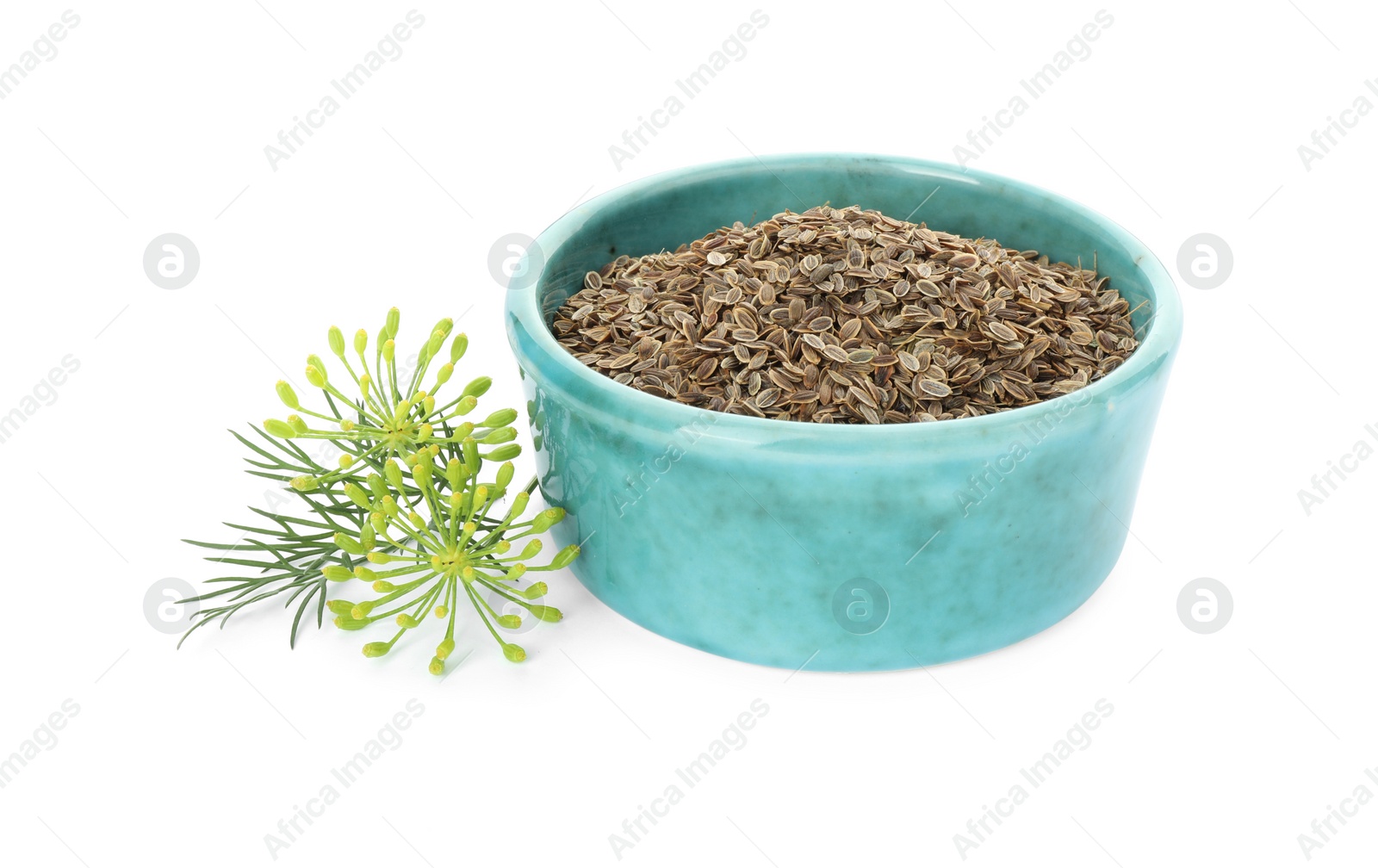 Photo of Bowl of dry seeds and fresh dill isolated on white
