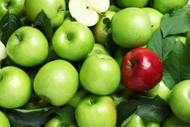 Tasty green apples and red one as background, top view