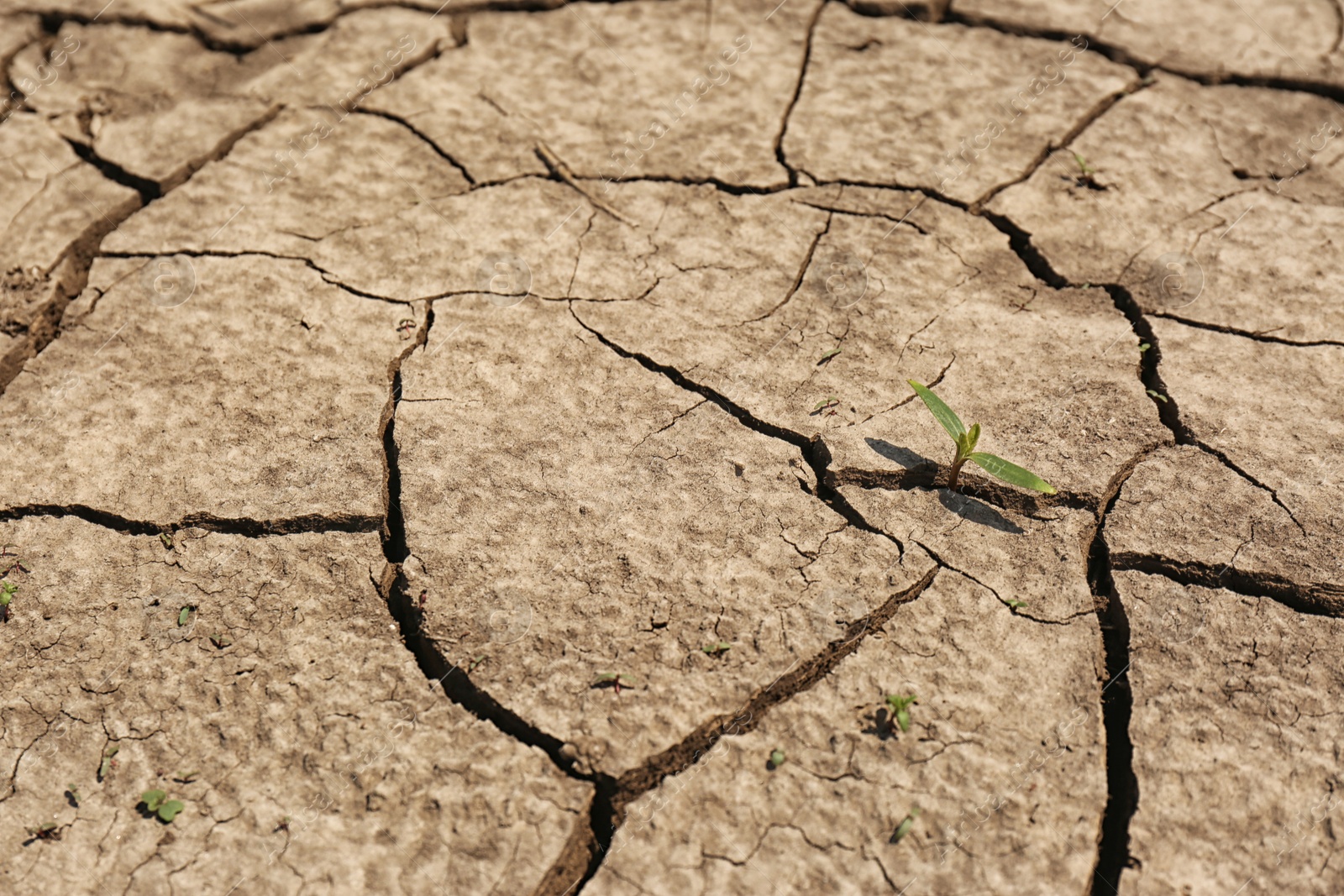 Photo of View of cracked ground surface on sunny day