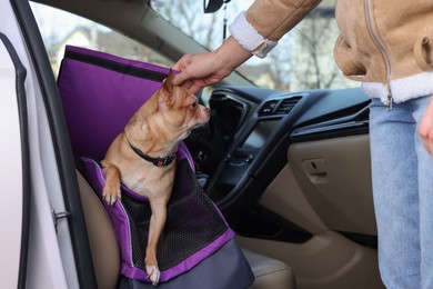 Owner transporting her dog, closeup. Chihuahua in pet carrier