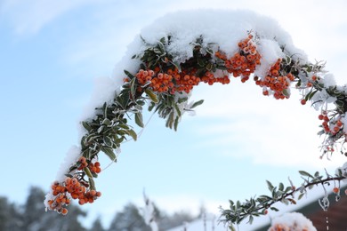 Berries on rowan tree branch covered with snow outdoors