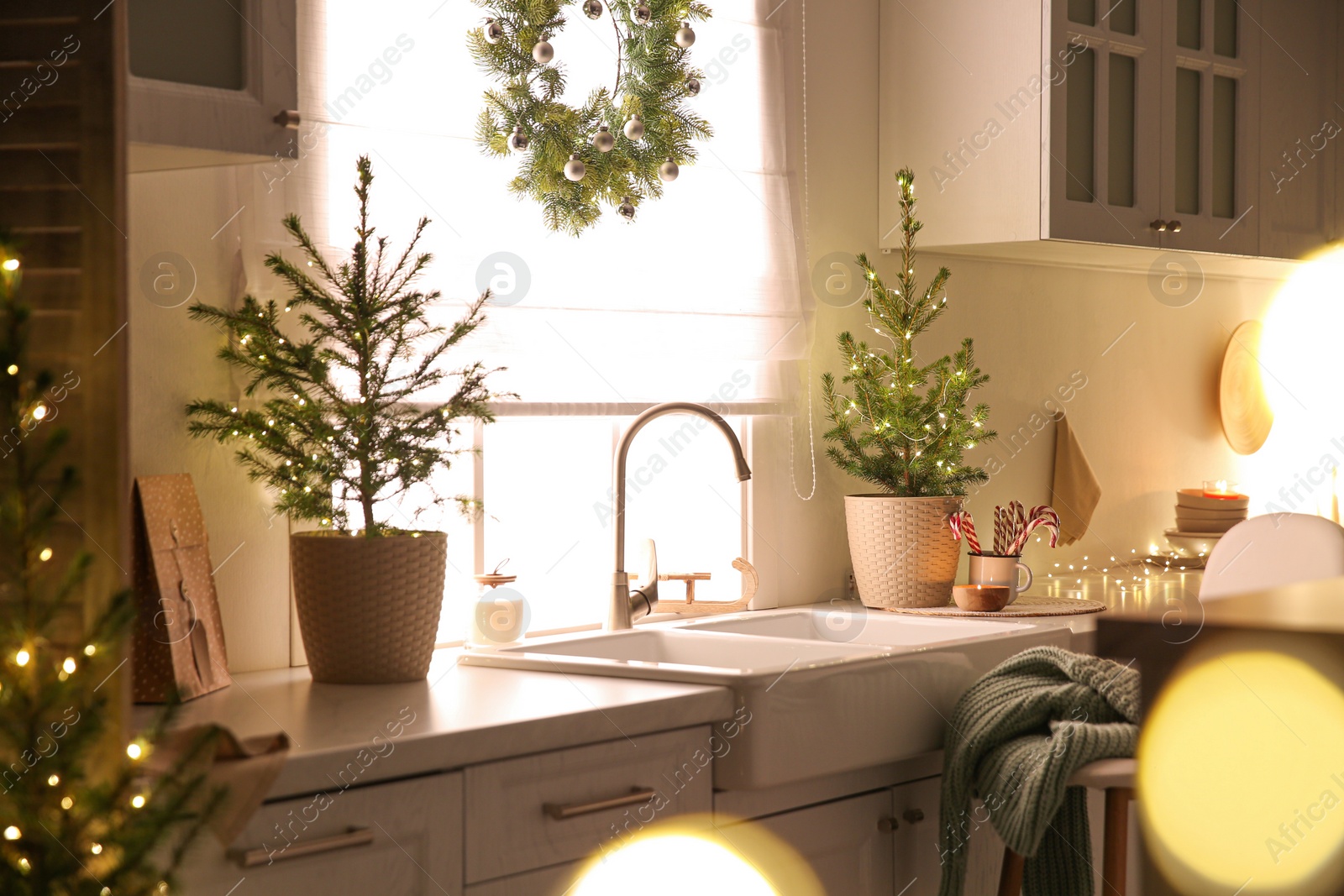 Photo of Beautiful kitchen decorated with potted firs. Interior design