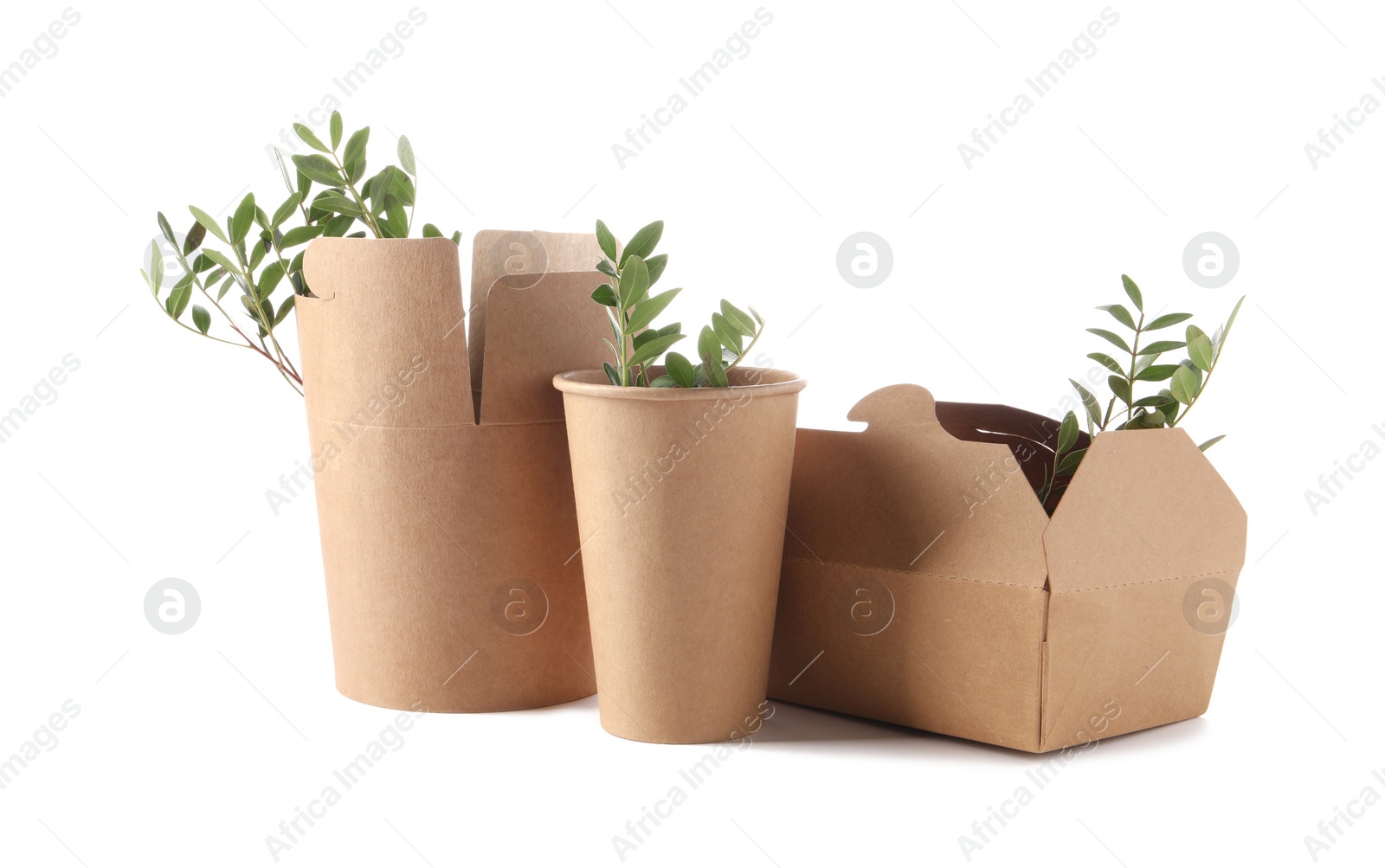 Photo of Eco friendly packaging. Disposable food containers and twigs isolated on white