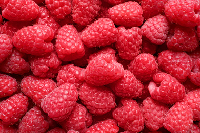 Photo of Fresh sweet ripe raspberries as background, closeup