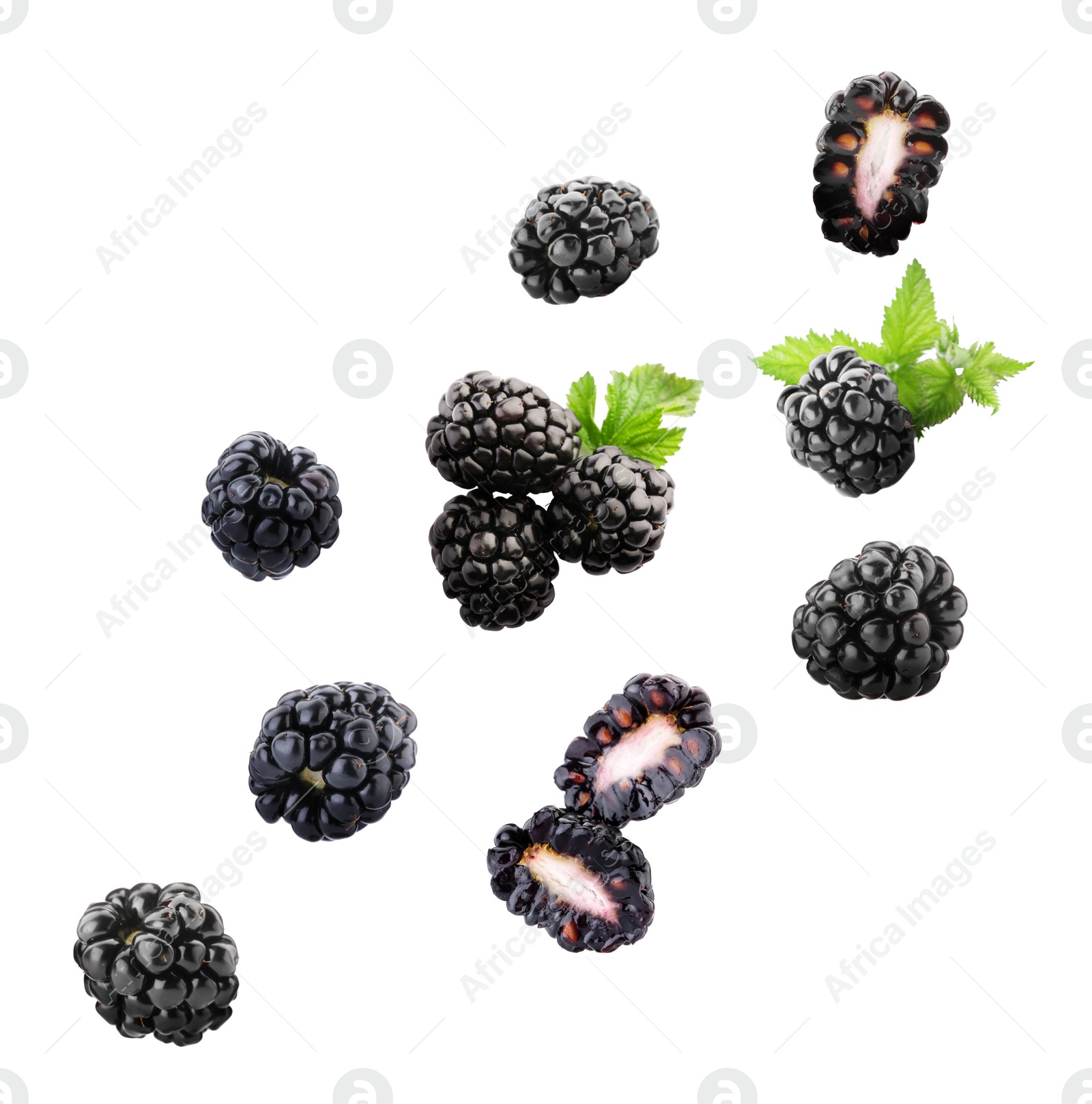 Image of Delicious ripe blackberries flying on white background