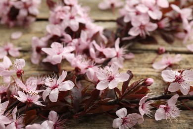 Photo of Spring branch with beautiful blossoms and leaves on wooden table, closeup