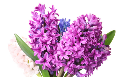 Photo of Bouquet of beautiful hyacinth flowers on white background. Springtime