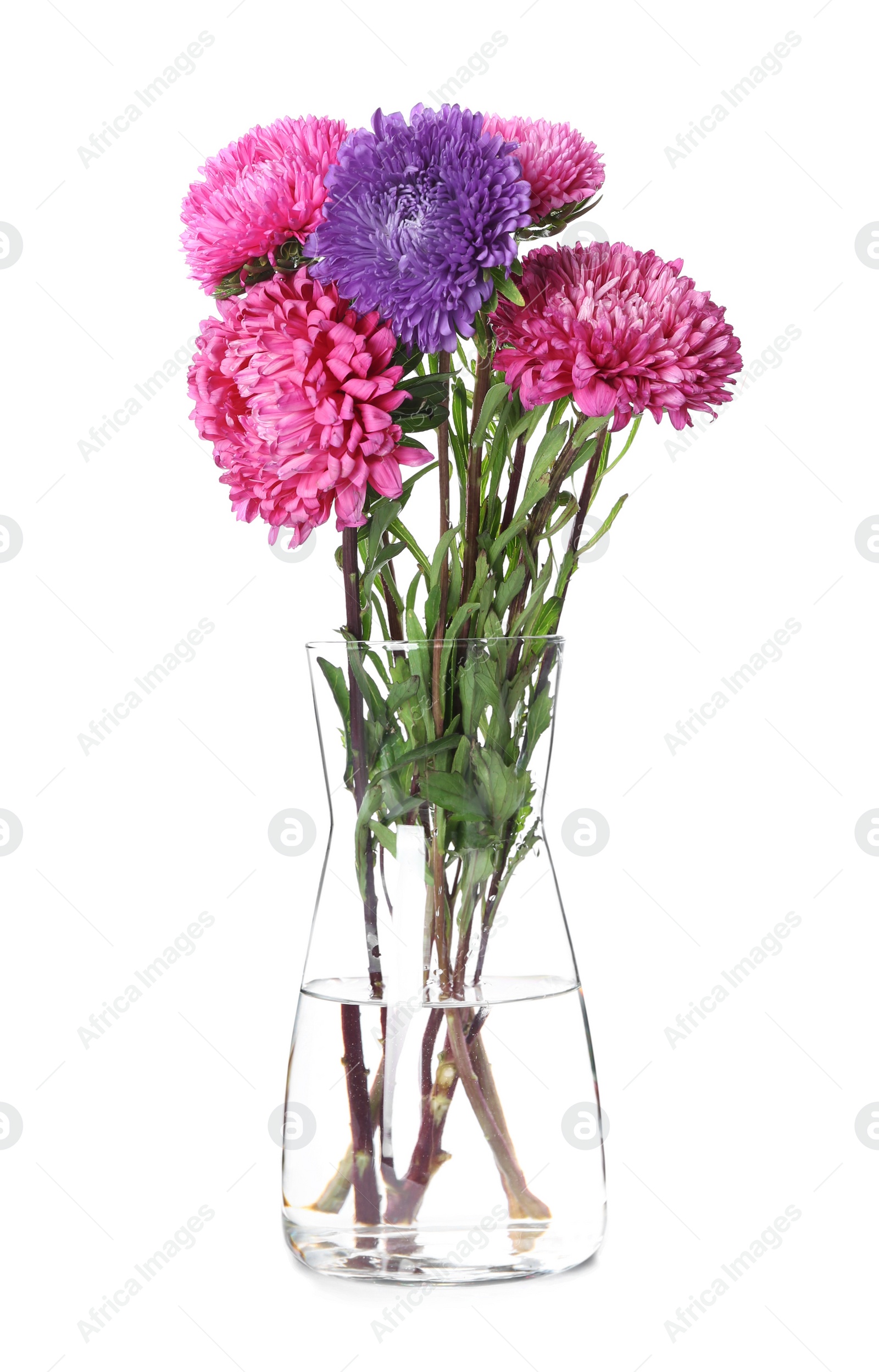 Photo of Bouquet of beautiful aster flowers in glass vase isolated on white