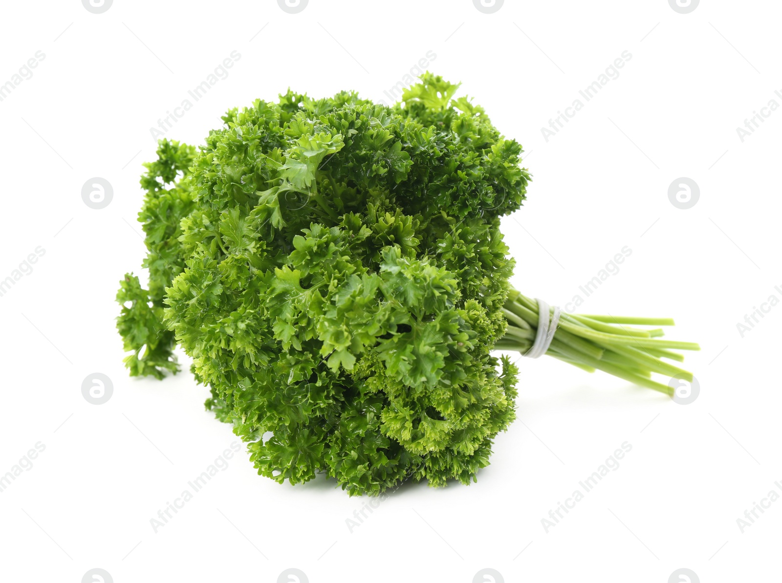 Photo of Bunch of fresh curly parsley on white background