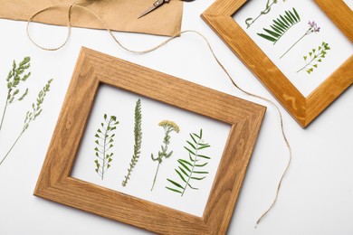 Photo of Flat lay composition with frames of wild dried meadow flowers on white background