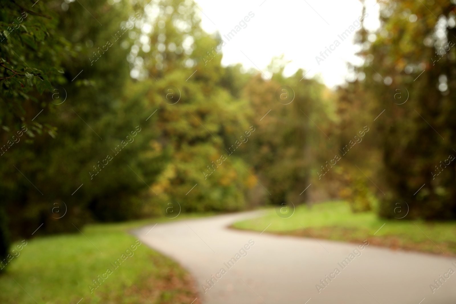 Photo of Blurred view of beautiful park with trees on autumn day