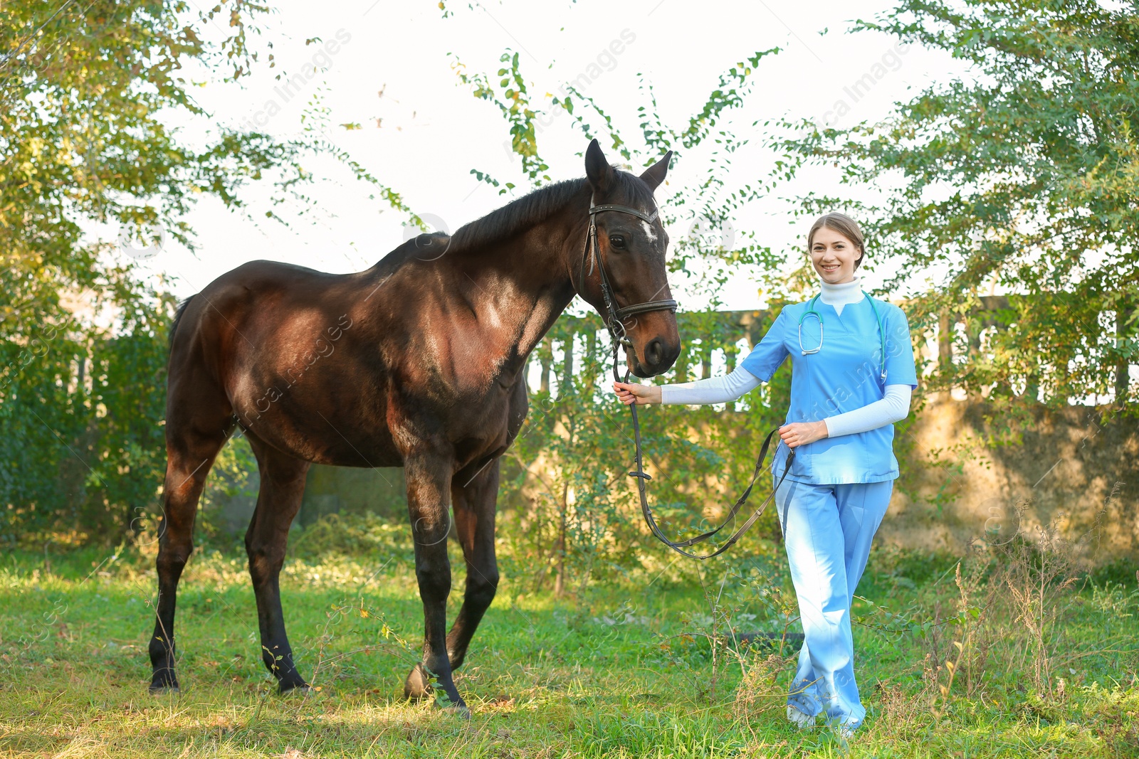 Photo of Veterinarian in uniform with beautiful brown horse outdoors