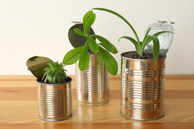 Beautiful houseplants in tin cans on wooden table