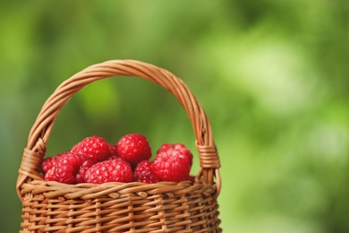 Photo of Tasty ripe raspberries in wicker basket on blurred green background, closeup. Space for text