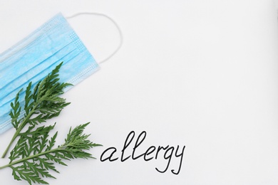 Ragweed plant (Ambrosia genus), medical mask and word "ALLERGY" written on white background, top view