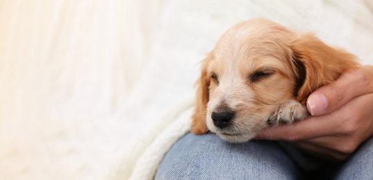 Young woman with her cute pet at home, space for text. Banner design