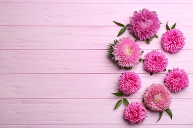 Photo of Beautiful asters and space for text on pink wooden background, flat lay. Autumn flowers