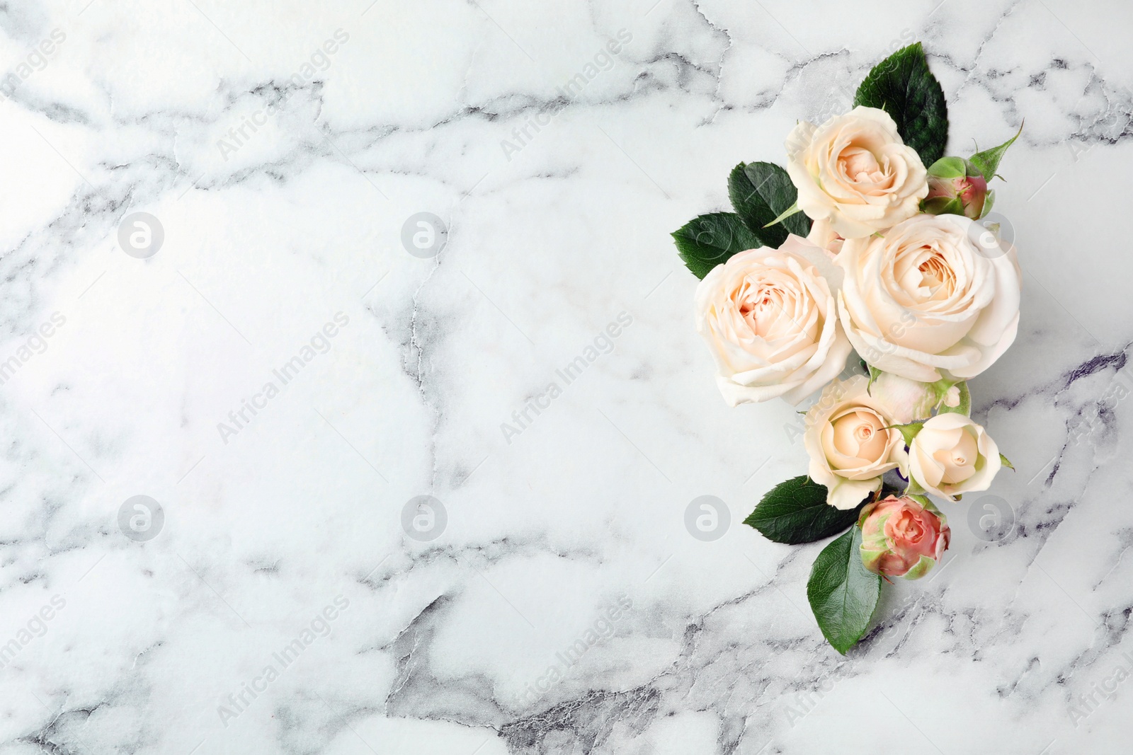 Photo of Beautiful roses and space for text on marble background, top view