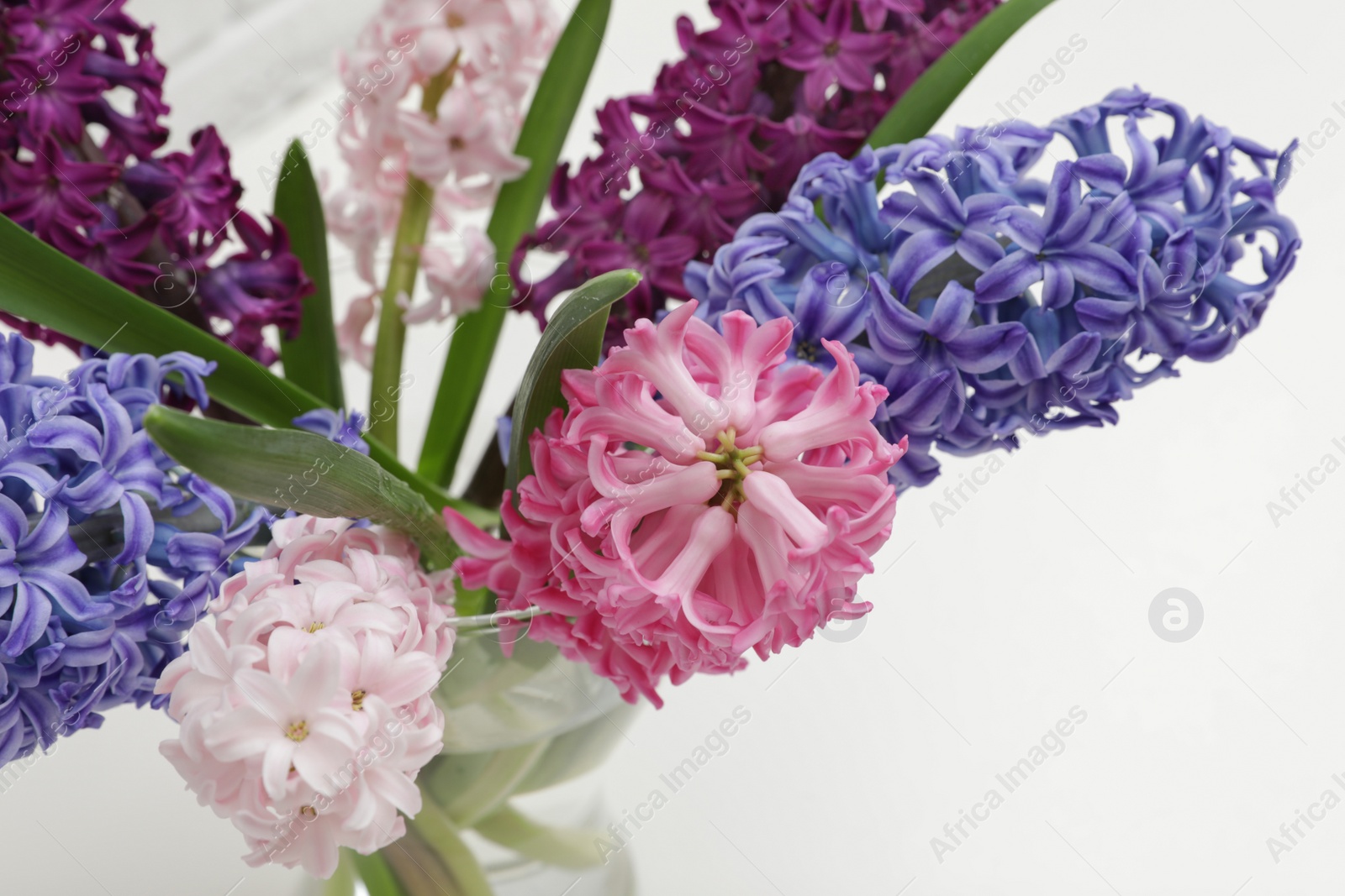 Photo of Beautiful hyacinths in glass vase on blurred background. Spring flowers