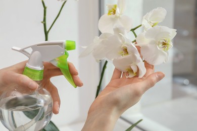 Photo of Woman spraying blooming white orchid flowers with water near window, closeup