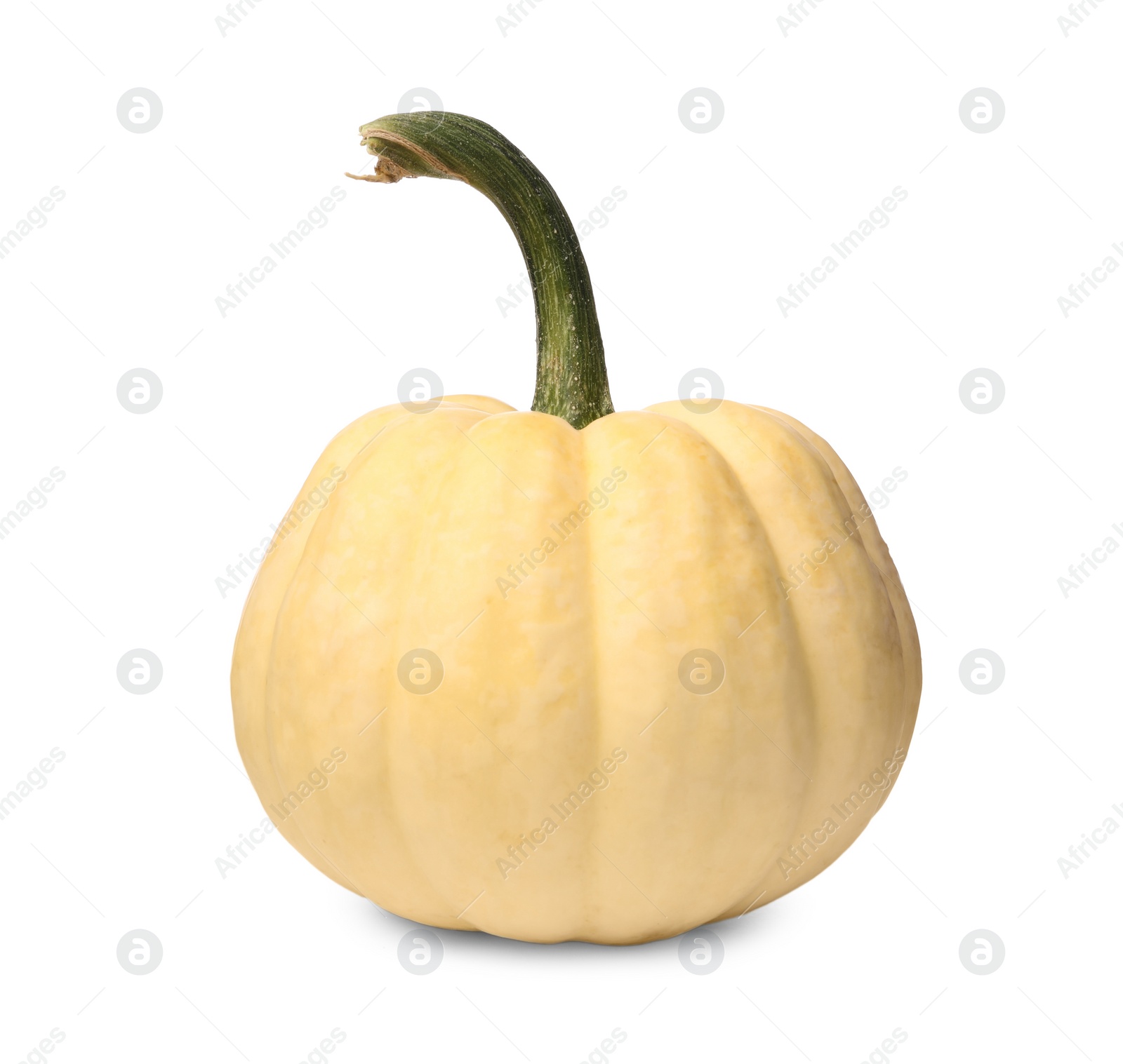 Photo of One whole ripe pumpkin isolated on white