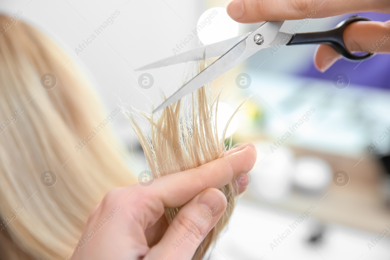 Photo of Professional hairdresser working with client in salon