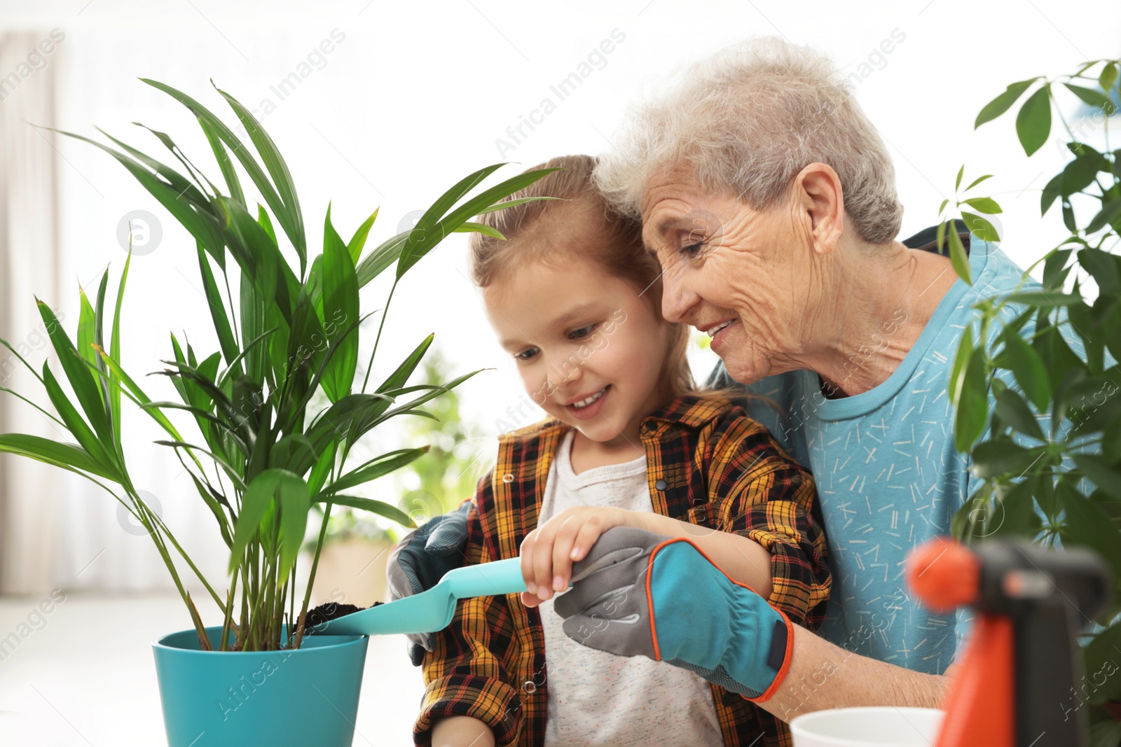 Photo of Little girl and her grandmother taking care of plants indoors