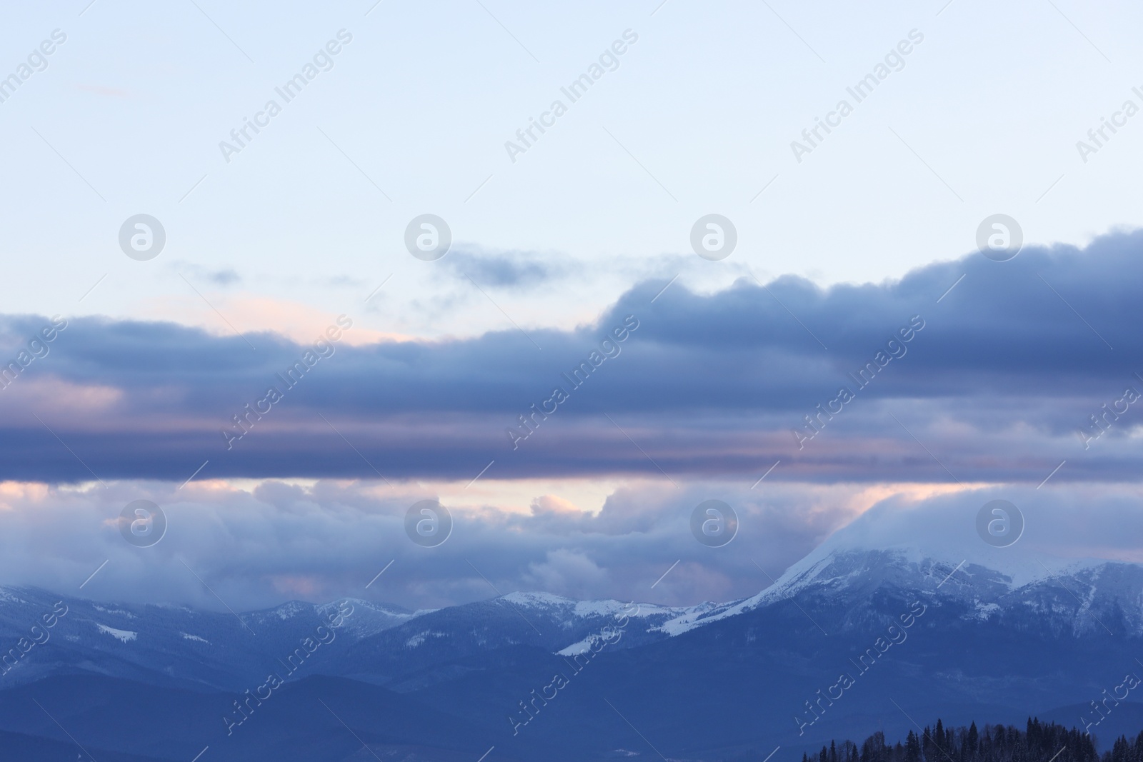 Photo of Beautiful mountain landscape with forest in winter