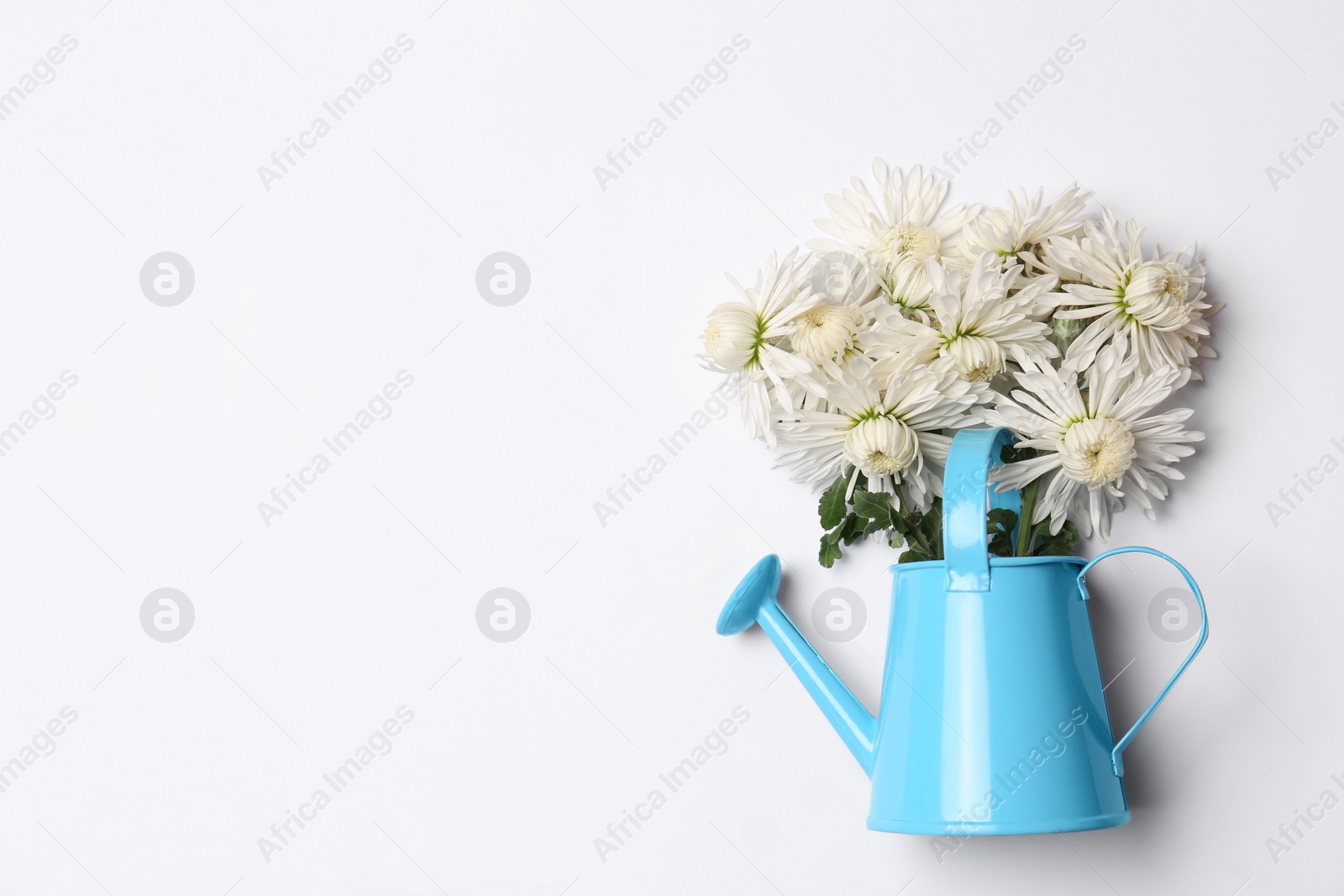 Photo of Watering can with beautiful flowers on white background, top view. Space for text