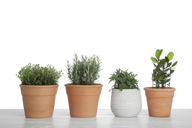 Photo of Pots with thyme, bay, sage and rosemary on table against white background