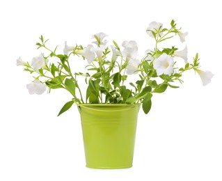 Photo of Beautiful petunia flowers in green pot isolated on white