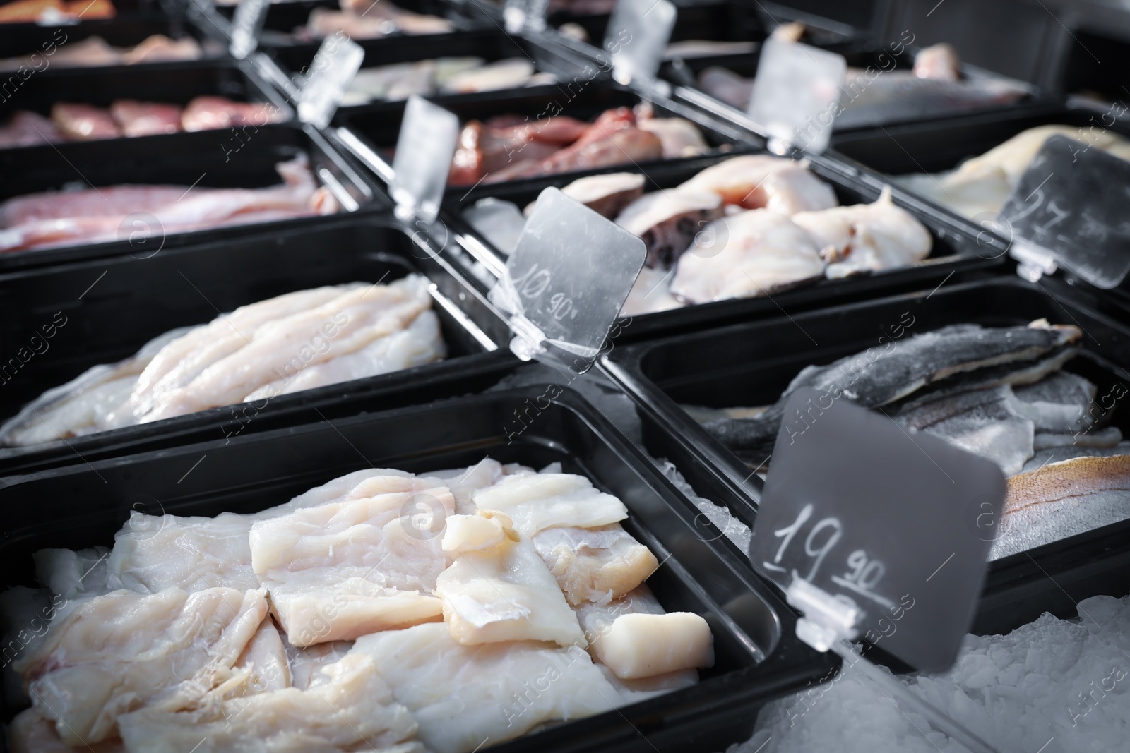 Photo of Different types of fresh fish on display with ice. Wholesale market