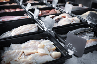 Different types of fresh fish on display with ice. Wholesale market