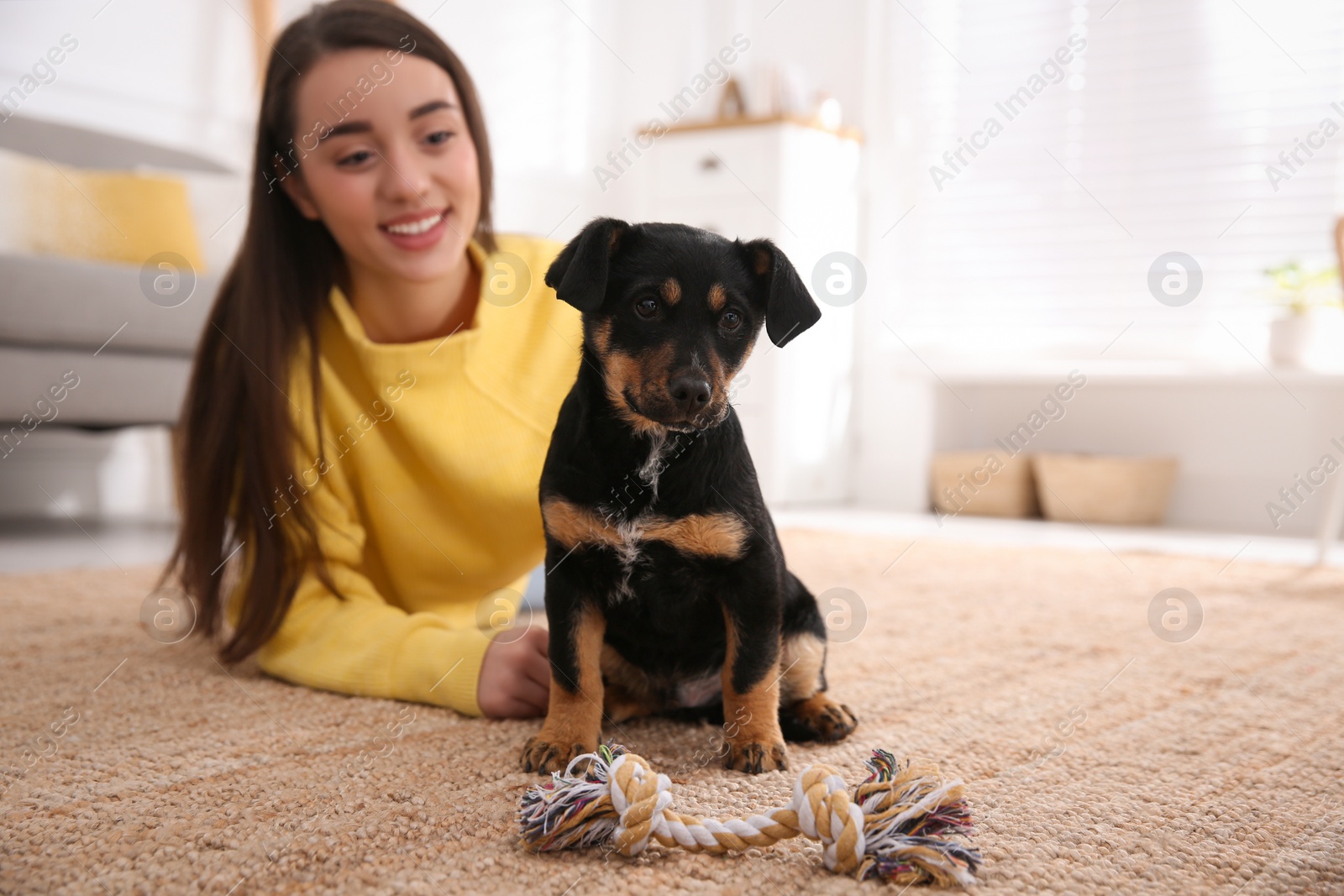 Photo of Woman with cute puppy indoors. Lovely pet