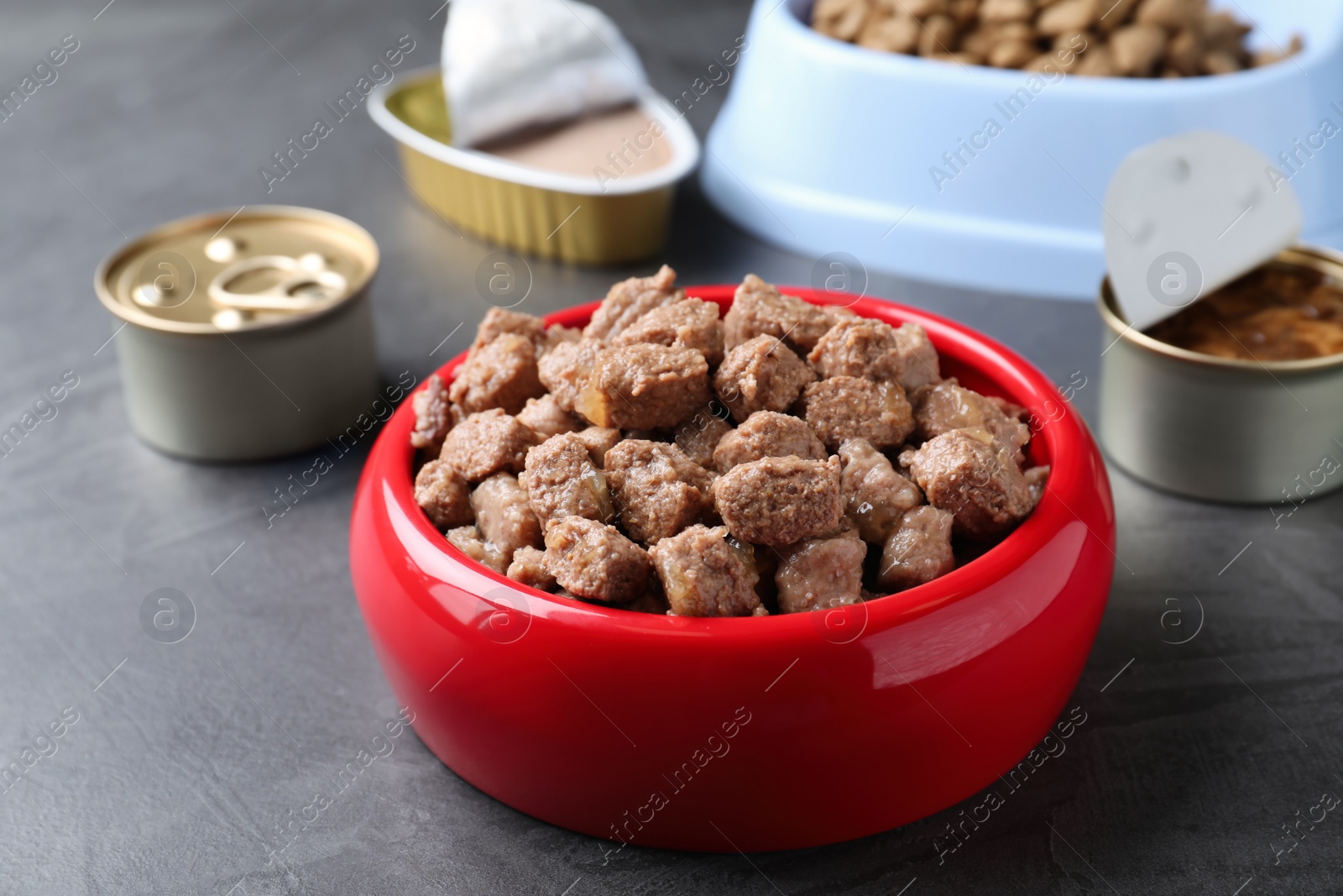 Photo of Wet pet food in feeding bowl on grey table