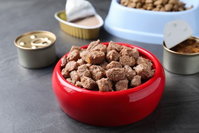 Photo of Wet pet food in feeding bowl on grey table