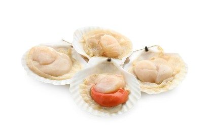 Fresh raw scallops in shells isolated on white