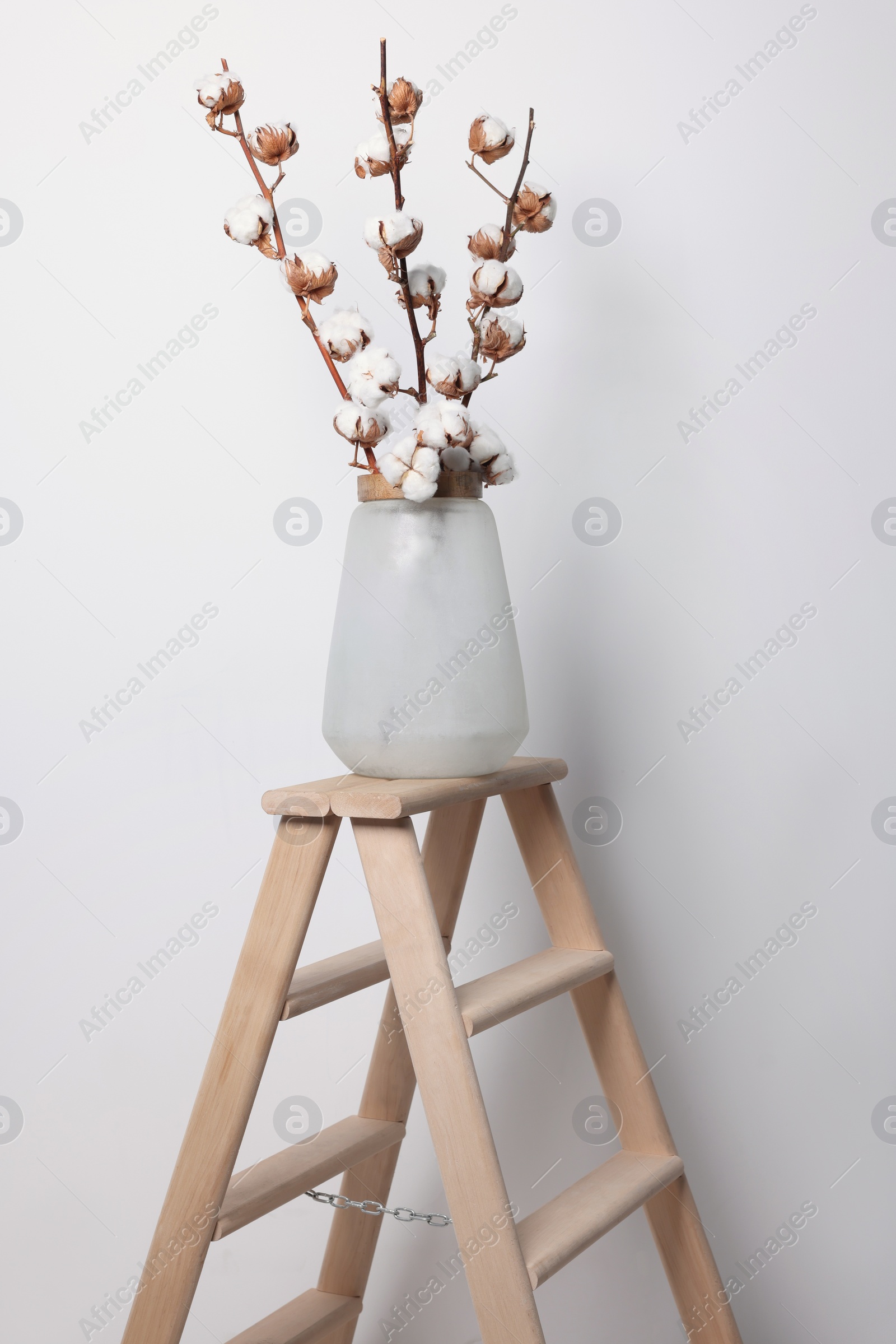 Photo of Cotton branches with fluffy flowers in vase on wooden ladder near white wall