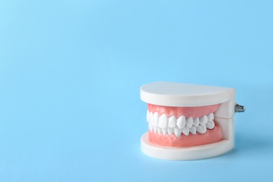 Photo of Educational model of oral cavity with teeth on color background
