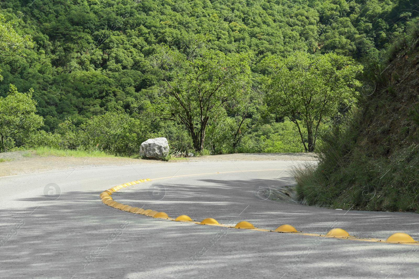 Photo of Asphalt road with yellow line near trees outdoors