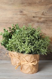 Aromatic rosemary and oregano growing in pots on white wooden table