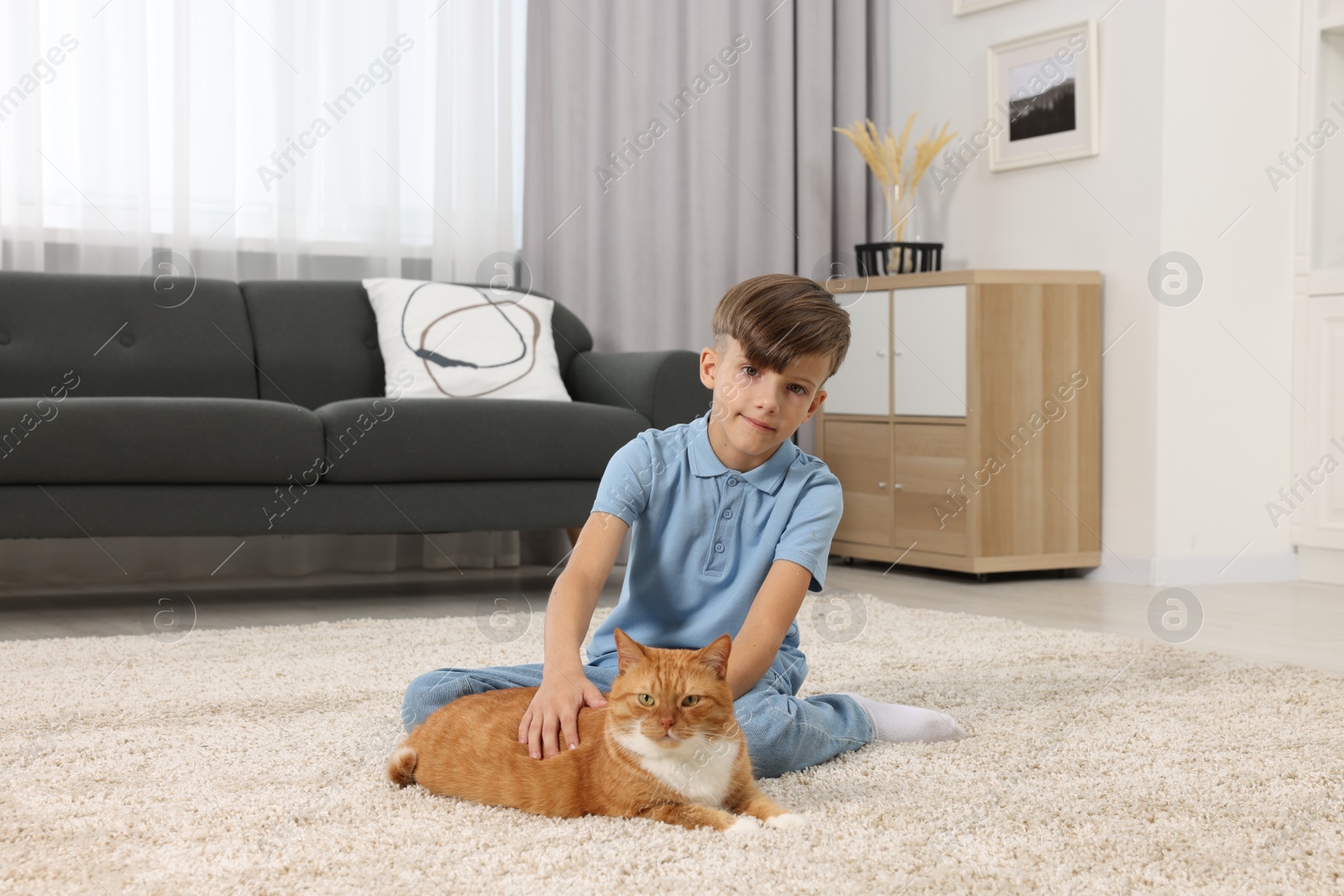 Photo of Little boy petting cute ginger cat on soft carpet at home