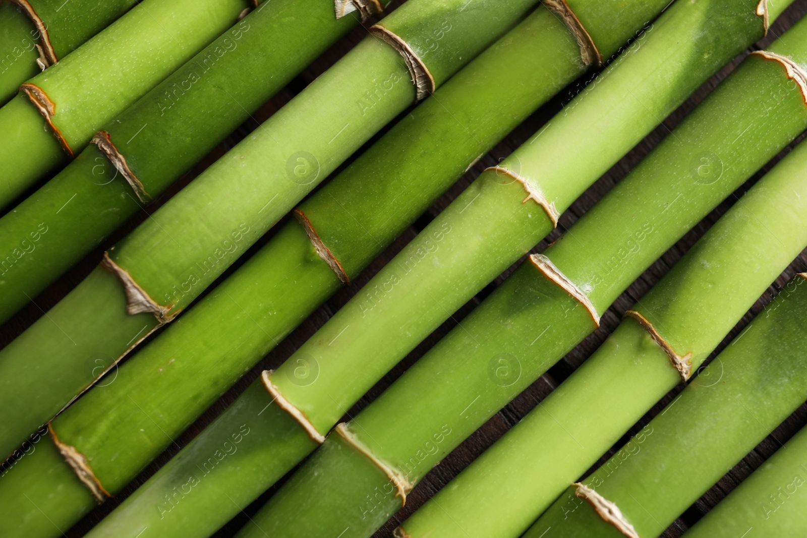 Photo of Green bamboo stems as background, top view
