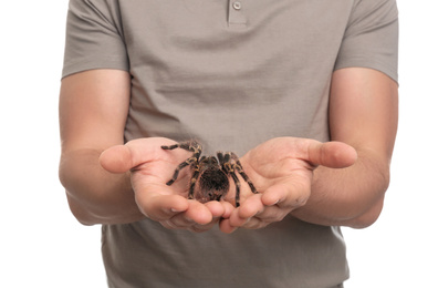 Photo of Man holding striped knee tarantula on white background, closeup