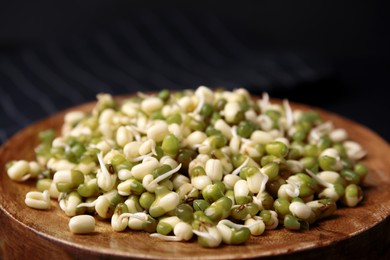 Photo of Wooden plate with sprouted green mung beans on dark background, closeup